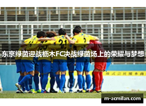 东京绿茵迎战枥木FC决战绿茵场上的荣耀与梦想
