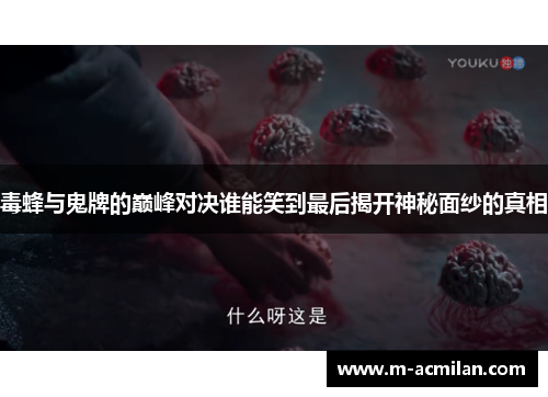 毒蜂与鬼牌的巅峰对决谁能笑到最后揭开神秘面纱的真相